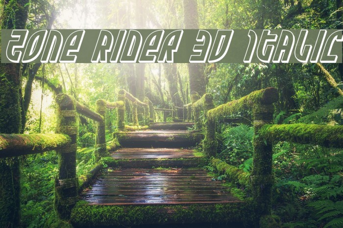 Zone Rider 3D Italic Font examples