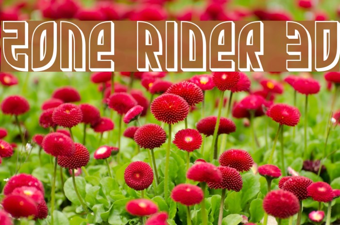 Zone Rider 3D Font examples