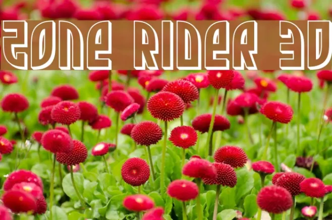 Zone Rider 3D Example 2