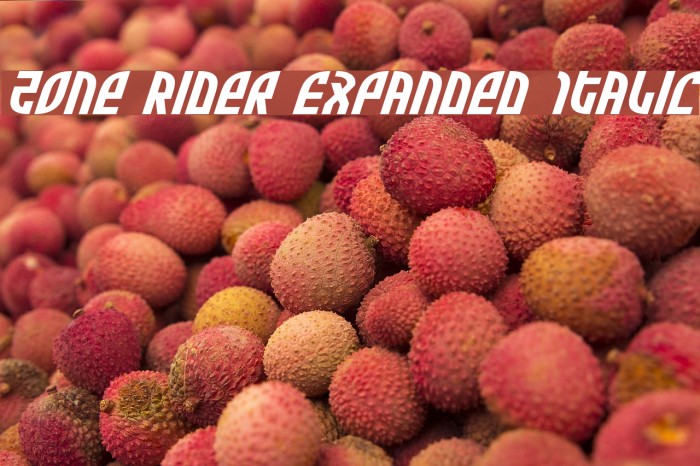 Zone Rider Expanded Italic Font examples