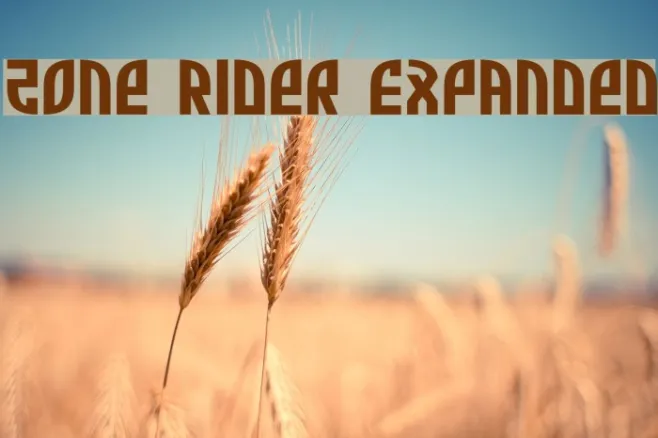 Zone Rider Expanded Example 1