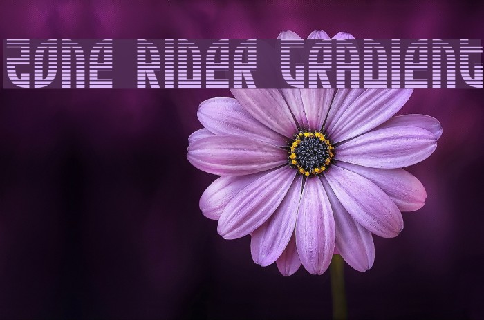 Zone Rider Gradient Font examples