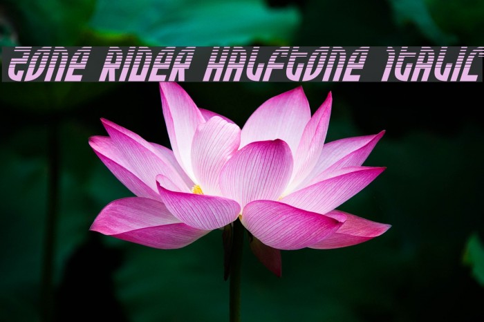 Zone Rider Halftone Italic Example 1