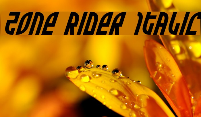 Zone Rider Italic Font examples