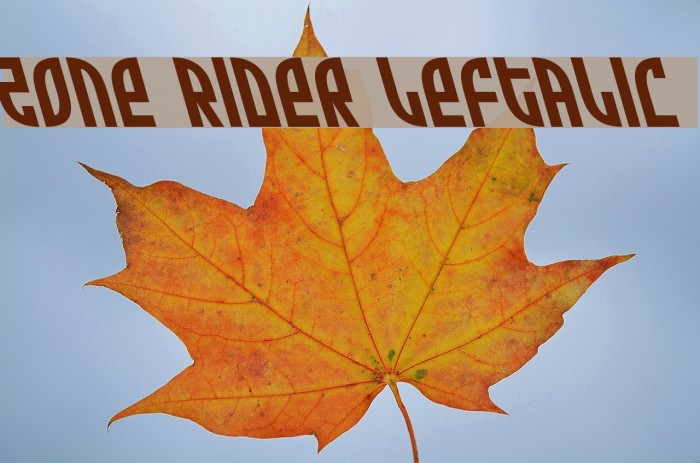 Zone Rider Leftalic Font examples