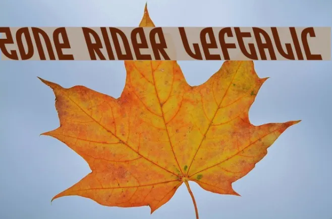 Zone Rider Leftalic Example 1