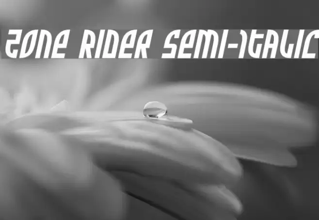 Zone Rider Semi-Italic Font examples