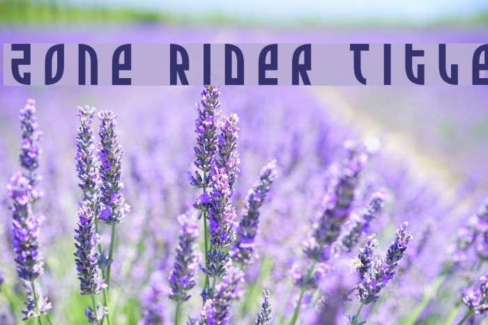 Zone Rider Title Font examples