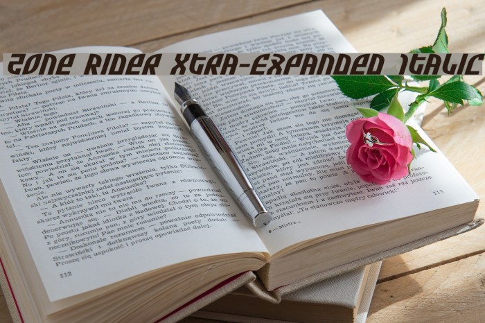 Zone Rider Xtra-Expanded Italic Font examples