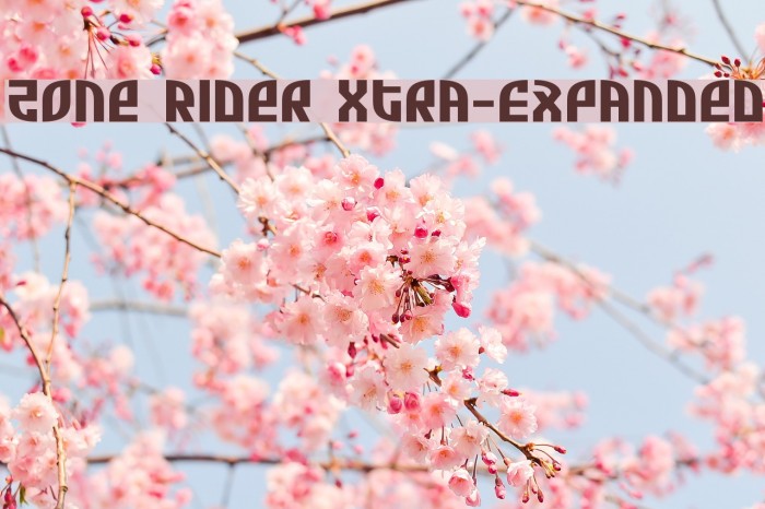 Zone Rider Xtra-Expanded Font examples