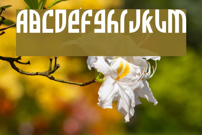 Zone Rider Font examples