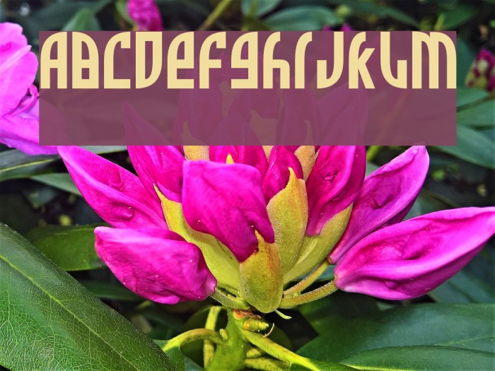 Zone Rider Font examples