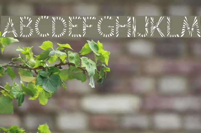 Zone23_Rayz Font examples