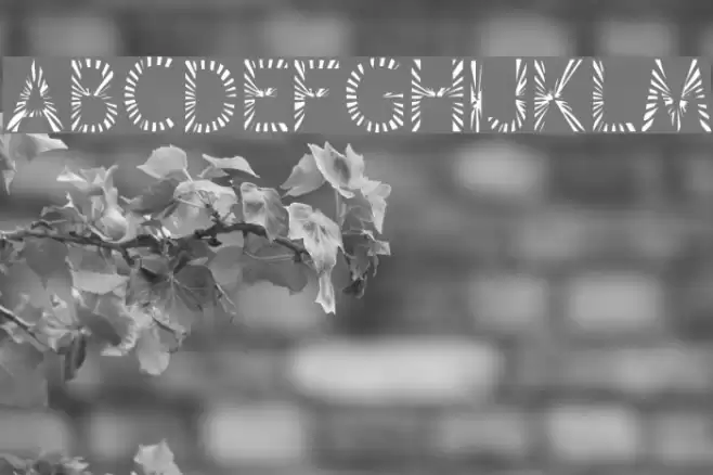 Zone23_Rayz Font examples