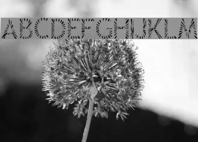 Zone23_Rayz Font examples