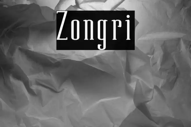 Zongri Font examples