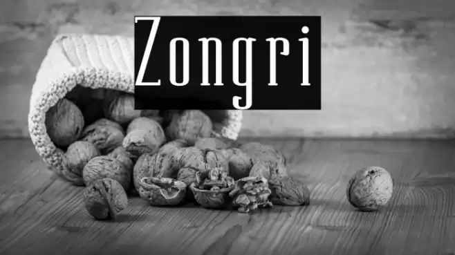 Zongri Font examples