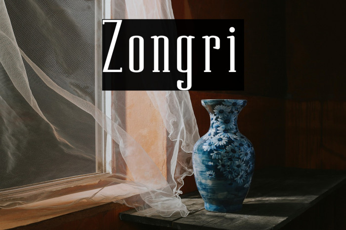 Zongri Example 3