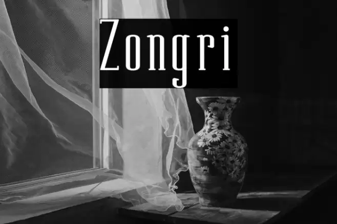 Zongri Font examples
