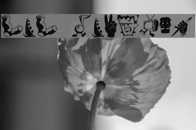 Zono Dingbats Font examples