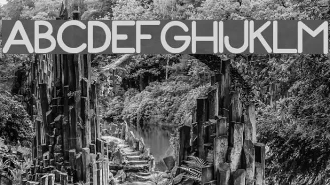 ZonoToon  Bold Font examples