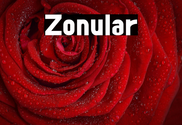 Zonular Example 2