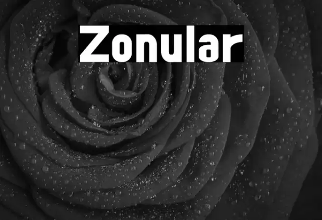 Zonular Font examples