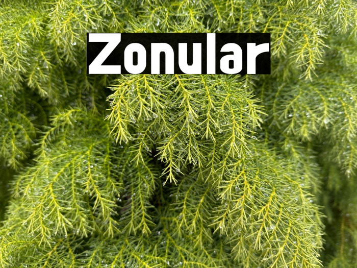 Zonular Example 3
