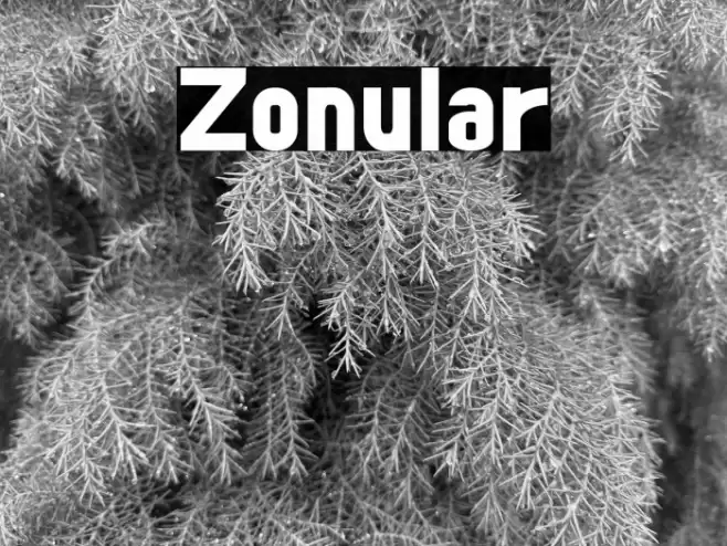 Zonular Font examples