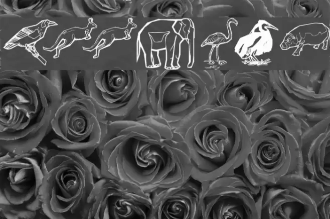 Zoobats Font examples