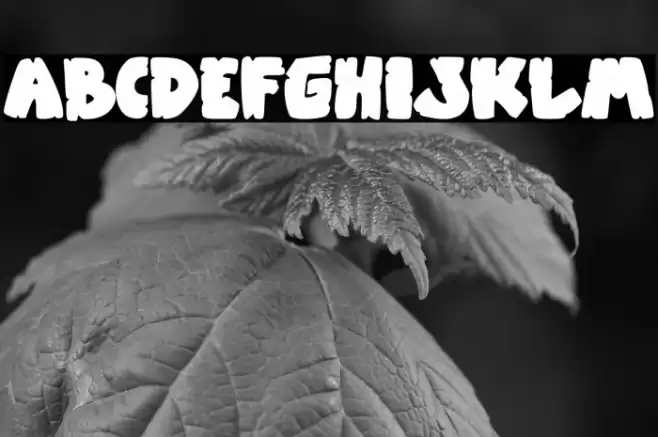 Zooberg Font examples