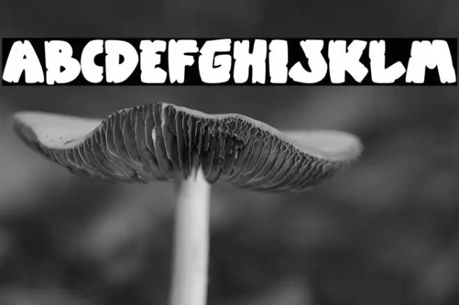 Zooberg Font examples