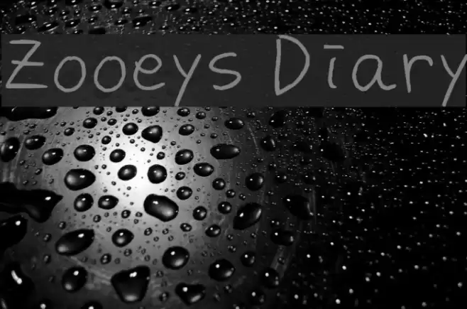 Zooeys Diary Font examples