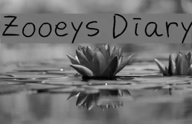 Zooeys Diary Font examples