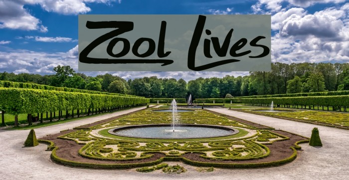 Zool Lives Font examples
