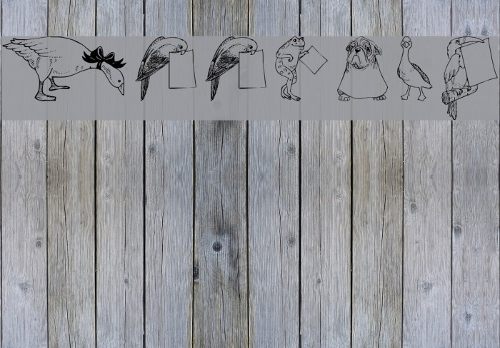Zooland Font examples