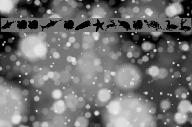 ZooloVectoriA Font examples