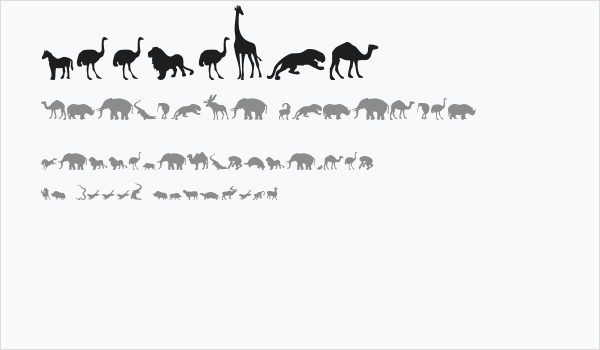 Zoologic Business Card