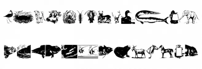 Zoological خط أحرف كبيرة