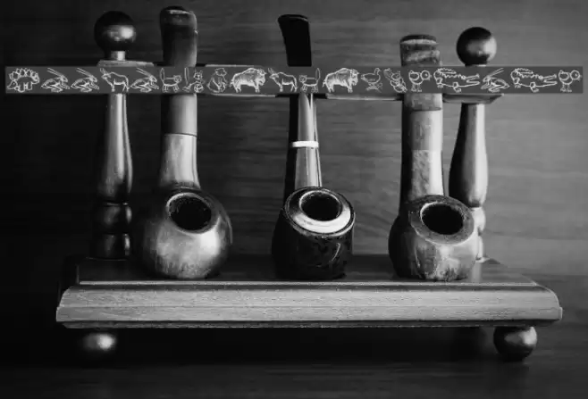 ZoologicalGardenOne Polices examples