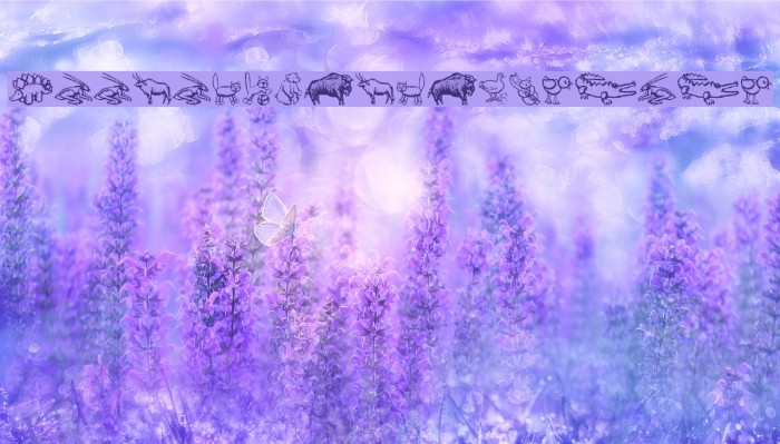 ZoologicalGardenOne Polices examples