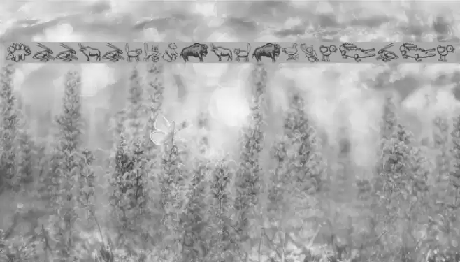 ZoologicalGardenOne Polices examples