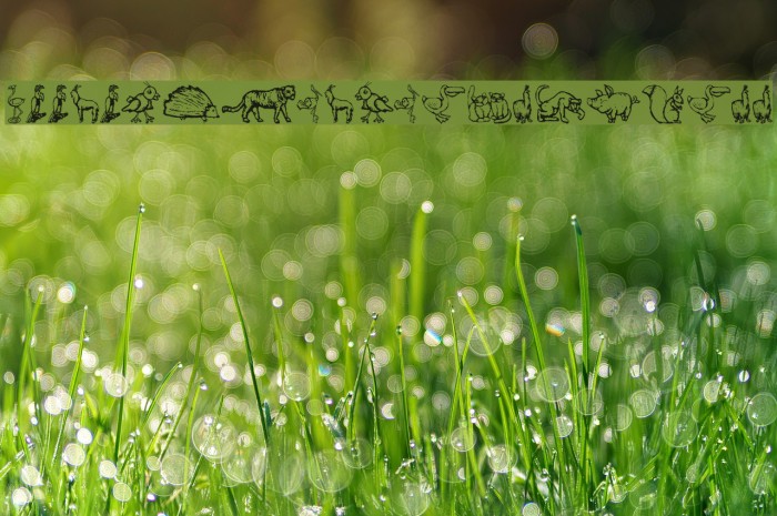 ZoologicalGardenThree Font examples