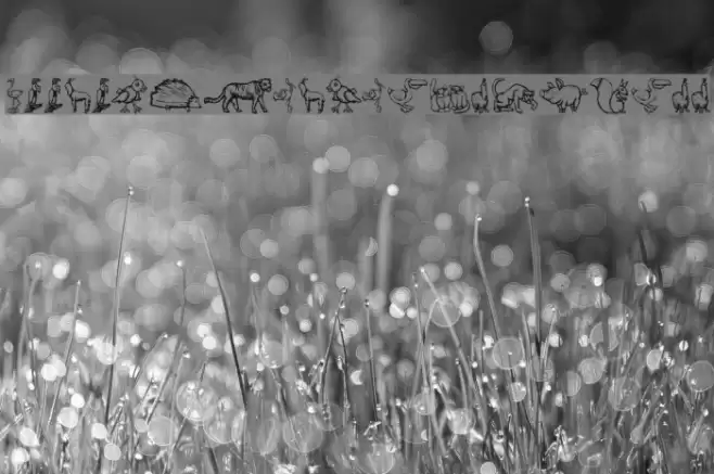 ZoologicalGardenThree Font examples