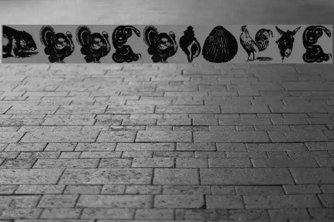 Zoological Font examples