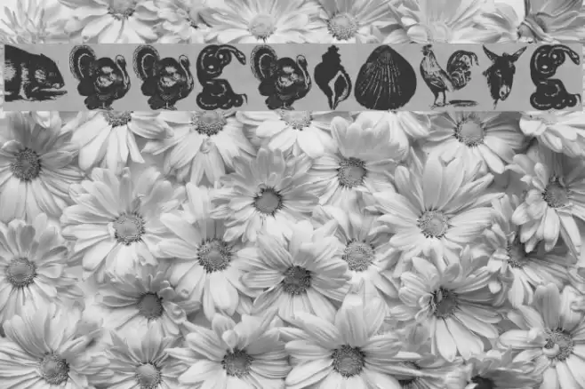 Zoological Font examples