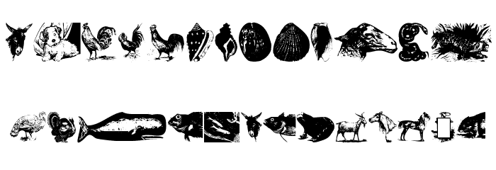 Zoological Font LOWERCASE
