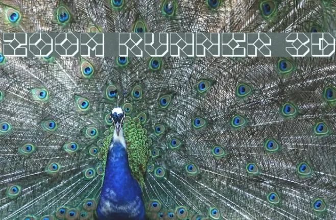 Zoom Runner 3D Example 2