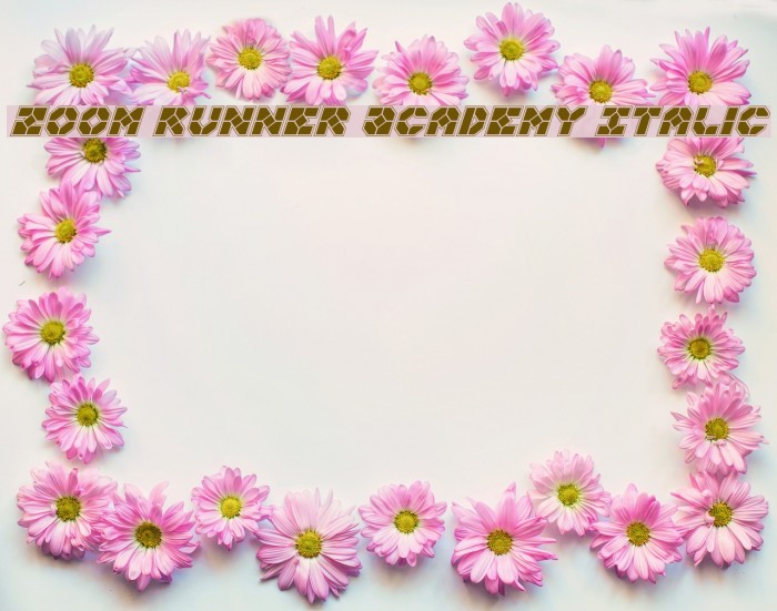 Zoom Runner Academy Italic Example 1