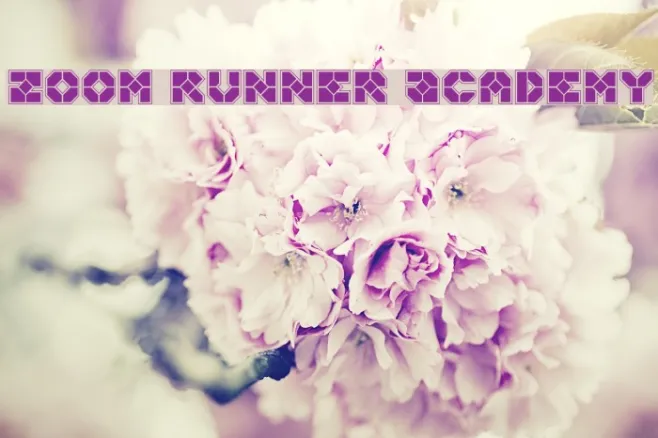 Zoom Runner Academy Example 3